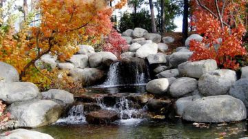 Ponds & Water Features